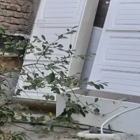 کابینت فلزی درحد نو