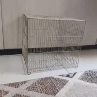 قفس
