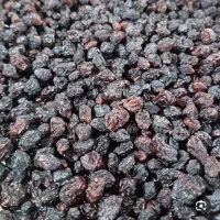 ذغال اخته خشک