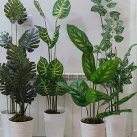 گلدان‌های همیشه سبز کنارسالنی طرح ایکیا