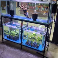 فروشگاه آکواریومی