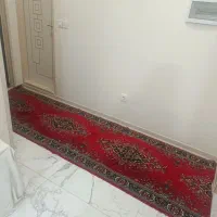 فرش کناره خوش رنگ