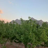 باغ خانه ویلا روستای زواریان املاک معصومی|فروش خانه و ویلا|قم, هفت تیر|دیوار