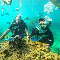 هتل با ناهار