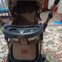 کالسکه دلیجان در حد نو