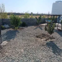 خاک باغچه کشاورزی|گل و گیاه طبیعی|رباطکریم, رباطکریم|دیوار