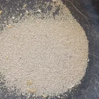 بذر|گل و گیاه طبیعی|کرمانشاه, |دیوار