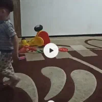 گلیم فرش|گلیم، جاجیم، گبه|بندر گناوه, |دیوار