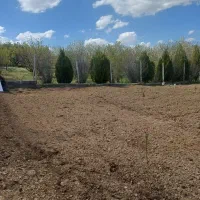 باغبان حرفه ای گرگ