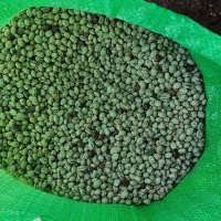 لوبیا چیتی و لوبیا قرمز|عمده‌فروشی|نظر کهریزی, |دیوار