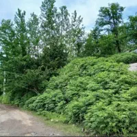 خانه ویلایی ۶۱۰ متری ۲ خوابه سراوان قاضیان دهبنه|فروش خانه و ویلا|سنگر, |دیوار