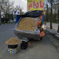 بادام زمینی