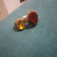 سفر|جواهرات|اردبیل, |دیوار