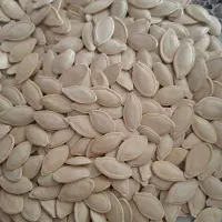 تخمه کدو اعلاء خام