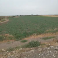 زمین-کشاورزی