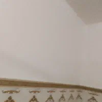 پلاسترسیاوسفید