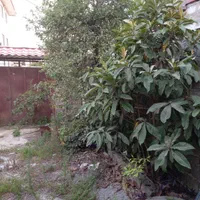 ویلایی شهری/سند/۱۳۲متر/قابلیت بازسازی/رزمندگان|فروش زمین و ملک کلنگی|لاهیجان, کوی زمانی|دیوار