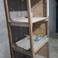 قفس جفت کن کبوتر