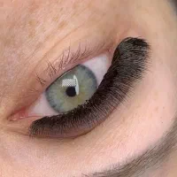 مژه|خدمات آرایشگری و زیبایی|رشت, کاکتوس|دیوار