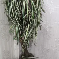 گلدان بزرگ با درختچه مصنوعی