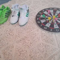 کفش و دارت