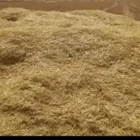 کاه فروشی گندم کوه دیشت