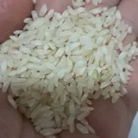 فروش برنج وخورده برنج|خوردنی و آشامیدنی|شیراز, امام حسین|دیوار