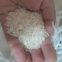 برنج هاشمی