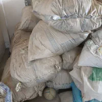 کاه عدس|عمدهفروشی|ویلکیج, |دیوار