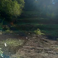 فروش ۷۵۰مترزمین درروستای زرینگل
