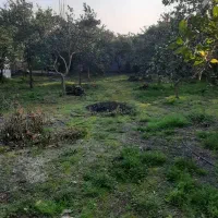 زمین مسکونی باغی