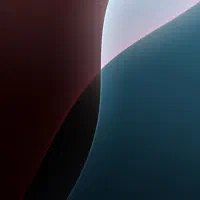 استخدام منشی