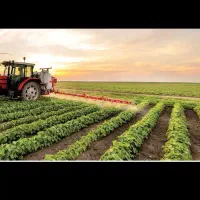 اجاره زمین کشاورزی|اجارهٔ دفتر صنعتی، کشاورزی، تجاری|نورآباد ممسنی, |دیوار