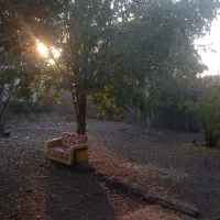 اجاره ویلا|اجارهٔ کوتاه‌مدت ویلا و باغ|بندر انزلی, بشمن|دیوار