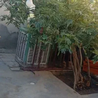 خونه-فروشی