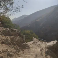 خط  تلفن پونک