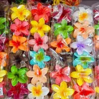 کلیپس عمده جین 12عددی 480
