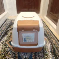 باکس گربه و سگ
