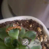 انگشتر های استیل زد آب|بدلیجات|شاهدشهر, |دیوار