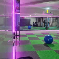 نیازمند مربی وشوو و کیک بوکس بانوان|استخدام آموزشی|شیراز, شهرک رضوان|دیوار