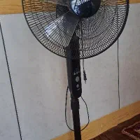 پتکا ایستاده سالم