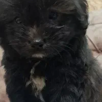 اروم بی سرصدا