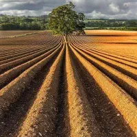 زمین اروندکنار موقعیت عالی نهر مخزوم