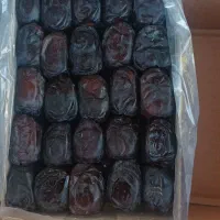 خرما مضافتی دو ردیف سه ردیف (الف زاده)