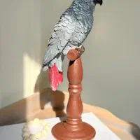 دکوری طوطی جذاب|مجسمه، تندیس، ماکت|ری, دولت‌آباد|دیوار