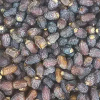 خرمای بریمی