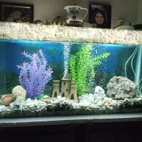 آکواریوم ماهی پمپ وسایل 120cm