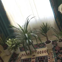فرش ۶متری آبی