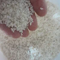 برنج نیمه شمال کیلوی ۱۶۰|خوردنی و آشامیدنی|بجنورد, |دیوار