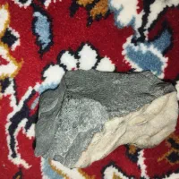 شهاب سنگ|کلکسیون و سرگرمی|تهران, فلسطین (میدان انقلاب)|دیوار